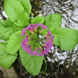 『十勝の本別方面に行ってきました。』の画像