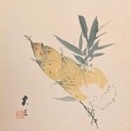 雑な日々