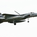 第306飛行隊の記念塗装機