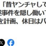 鳶の羽
