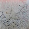 生きしもの　ー　宙の樹　2025.11.11～15　人形町ヴィジョンズ