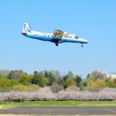2026年04月03日（金）　【＠調布飛行場／固定翼】　JA33CA with 桜