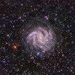ninzyaの星見