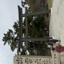 【出雲旅日記】「ムスビ」が形になった2日間。人・モノ・出来事、すべてに感謝