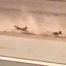 【動画】驚異の走力を見せる不思議な鳥、ロードランナーの走りっぷりｗ！！