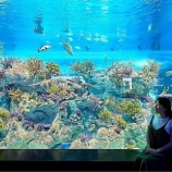 『骨折』の画像