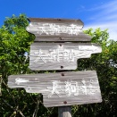 天狗高原、癒しの森を歩く