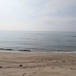 山陰の投げ釣り