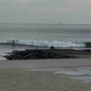 ４月１３日　岸田川渓流