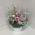 わんことアロマと手ごねパン