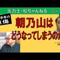【大相撲復活劇】まさかの2度の転落！朝乃山の苦難を乗り越えた感動物語