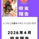 2026年4月収支報告
