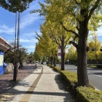 観覧車通信・Kanransha-tsushin