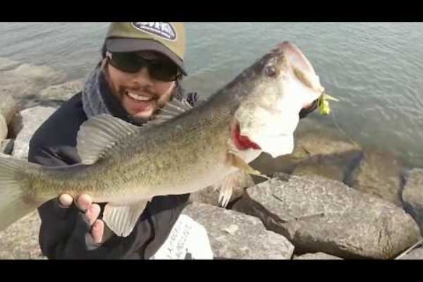 ﾟ ﾟ ｷﾀｺﾚ 3か月ぶりにヒゲ剃れる 京都山科の釣具屋バスフィールド