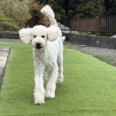 ももち🍑スッキリ〜✨✨✨　　　　