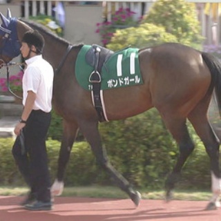 ☆うまなみ・競馬にゅーす速報