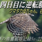 kita-papa のFF日記