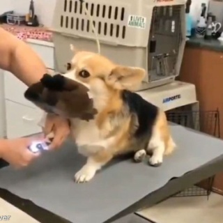 らばQ