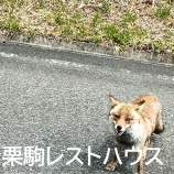 『栗駒レストハウス開通！』の画像