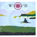 My Album Cover Album  BIG COUNTRY - Wonderland