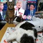 なごちゃん光ちゃんに癒されて　