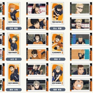 ハイキュー!! 排球援!! 未開封 ハイキュー 排球 援！！ ボドゲ ボードゲーム カード 援 新品未