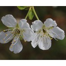 2026年3月19日の出来事