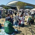 海辺の日曜市は新たなカタチで続きます！