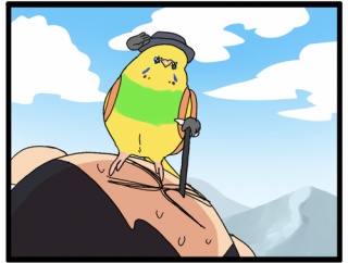 放鳥って腹筋だ / 新宿ことり博 実演のごあんない