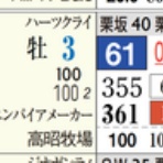 ハイブリッド競馬新聞