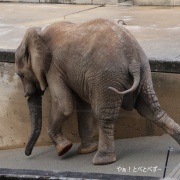 砥愛ちゃん、まだまだ上っています！下りています！