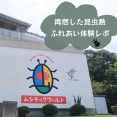 【ムシテックワールド】再燃した昆虫熱！ヘラクレスオオカブトなどふれあい体験レポ