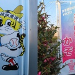 トラさんの純真