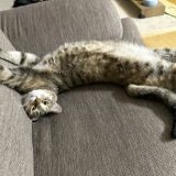 足を伸ばしていたならね