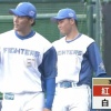 【日ハム紅白戦】紅組、3回に梅林のタイムリーと淺間の併殺間の得点で1点差に詰め寄る
