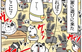 実家に行ったら意外な収穫があった話
