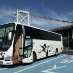 野球、時々マスコット。