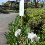 ワハハ本舗シェフ米山の『おいしい生活』