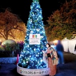 キャンディのカジュアル着物らいふ