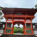 『【京都市東山区】厄除けの猿がシンボル 後白河上皇により創建された新日吉神宮』の画像