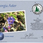 JH3FENの思いつくままに