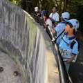 動物園探検！