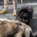 サブカル”ダディ”ガッテム日記