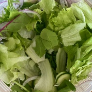 豆乳の力でなんでもおいしくしちゃうクリーミードレッシング豆パチャージ朝サラダ【PR】