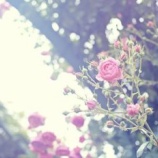 『その時、何を思うのか』の画像