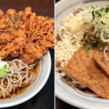 『有楽町線新木場駅改札内 めとろ庵「えのき天そば」でかい!「季節限定冷やし3色きつね」地下鉄改札内貴重な存在』の画像