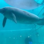 COSTEM BLOG  （コステム ブログ）