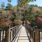 �ع��վ���2019(11��2���ˡ٤β���