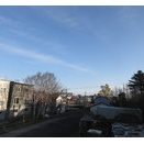 今日もいいお天気です