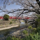 『LAOWA7.5mmF２で巡る犬山2　2019/04/17』の画像